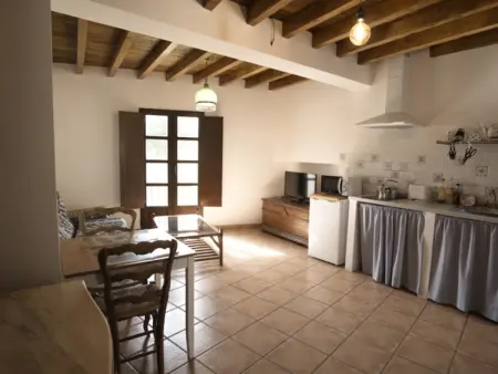 Studio loft historique, proche Alhambra, idéal télétravail - Photo 2