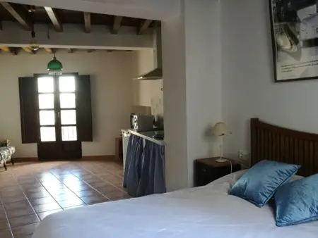 Studio loft historique, proche Alhambra, idéal télétravail - Photo 10