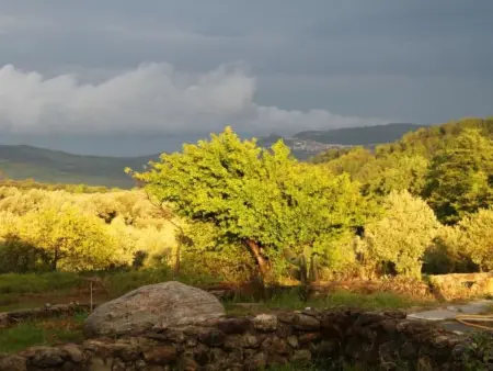 Arcobaleno, Maison 5 personnes à Girifalco - Photo 24