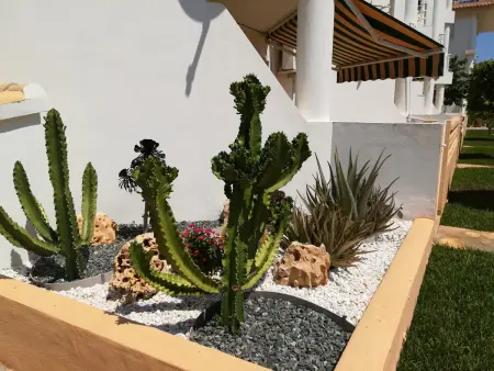 Appartement à Dénia avec piscine commune - idéal pour 4 personnes - Photo 25
