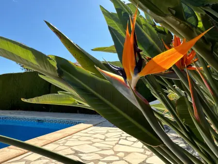 Villa à Denia pour 6 personnes avec piscine privée et jardin, proche plages et commodités - Photo 6