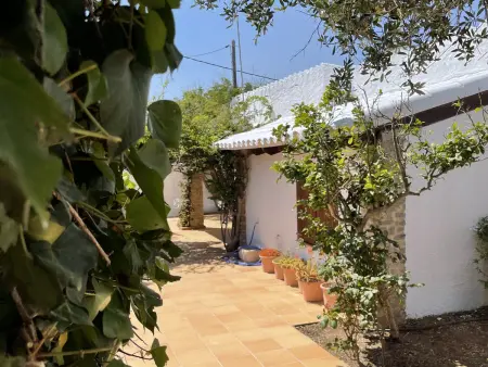Villa Minorquine avec piscine privée à Cala’n Porter - Photo 19