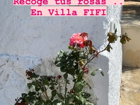 Villa Minorquine avec piscine privée à Cala’n Porter - Photo 31