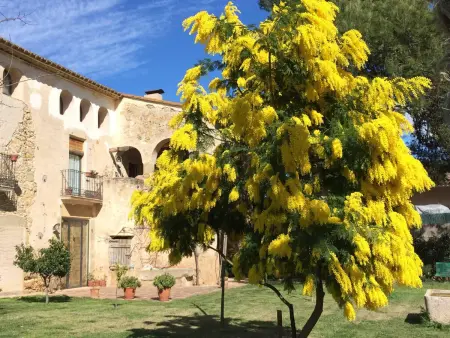 Ferme rénovée du 17ème avec piscine privée et grand jardin à Corçà, proche des plages de la Costa Brava - Photo 8