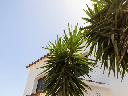 Villa de Luxe avec Piscine Privée et Parking à Empuriabrava - Photo 24