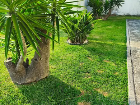 Villa à Esposende avec Jardin, Wi-Fi et Climatisation - Photo 18
