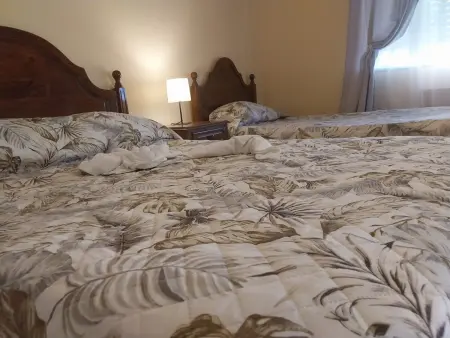 Appartement moderne à Seia, 3 chambres, parking, climatisation - Photo 3