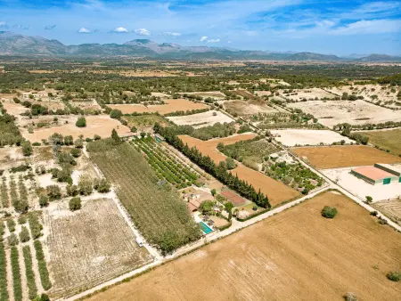 Finca spacieuse à Llubí avec piscine privée et court de tennis - Photo 32