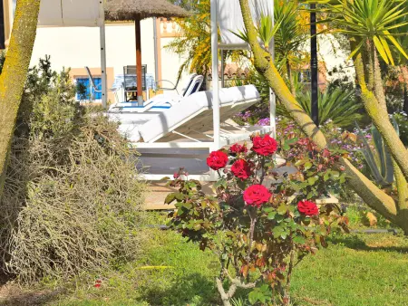 Confortable Finca à Ariany avec piscine privée et climatisation - Photo 21