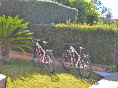 Charmante finca avec piscine privée à Ariany, Majorque - Photo 30