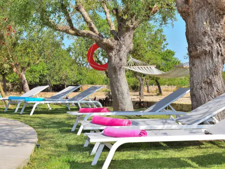 Villa de charme à Santa Margalida avec piscine privée - Photo 2