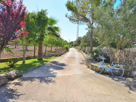 Villa de charme à Santa Margalida avec piscine privée - Photo 24