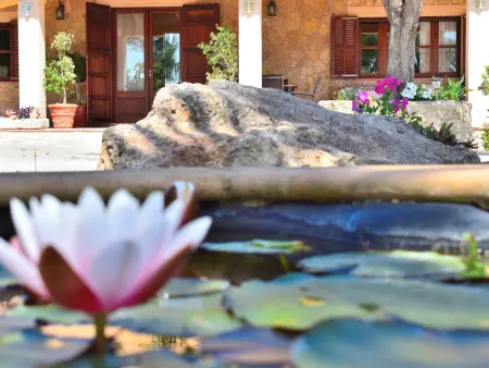 Villa de charme à Santa Margalida avec piscine privée - Photo 25