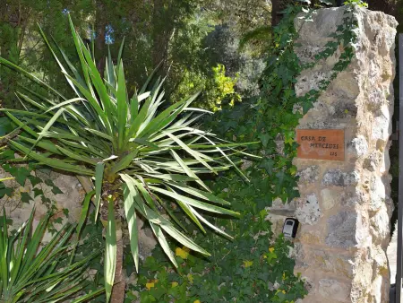 Charmante Finca avec grandes chambres et piscine privée à Pollensa - Photo 31