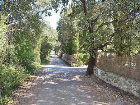 Charmante Finca avec grandes chambres et piscine privée à Pollensa - Photo 33