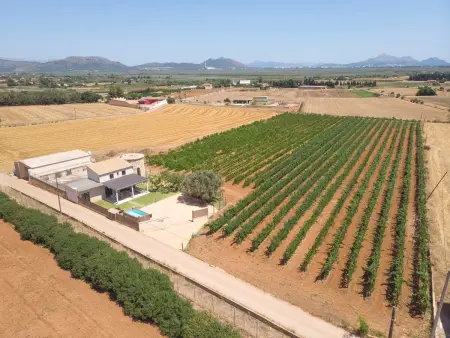 Charmante villa à Muro avec piscine entourée de vignobles - Photo 6