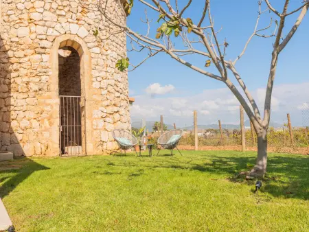 Charmante villa à Muro avec piscine entourée de vignobles - Photo 7