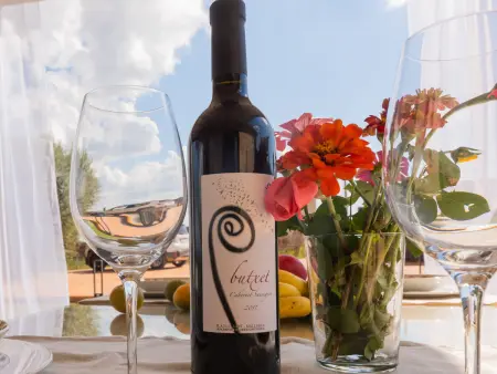 Charmante villa à Muro avec piscine entourée de vignobles - Photo 8