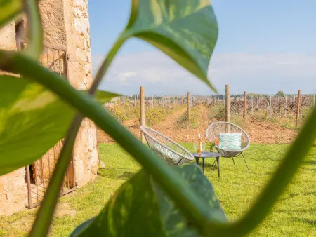 Charmante villa à Muro avec piscine entourée de vignobles - Photo 24
