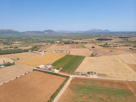 Charmante villa à Muro avec piscine entourée de vignobles - Photo 25