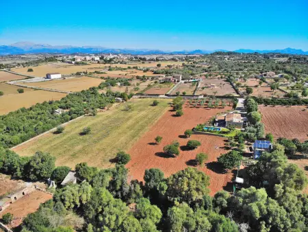 Villa familiale à Santa Margalida avec piscine privée - Photo 24