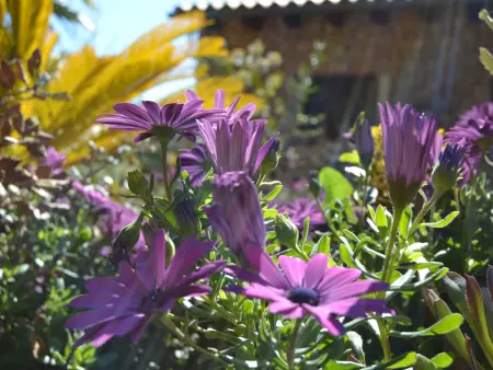 Superbe maison de campagne à Buger avec jardin et piscine - Photo 19
