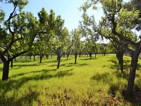 Superbe maison de campagne à Buger avec jardin et piscine - Photo 20