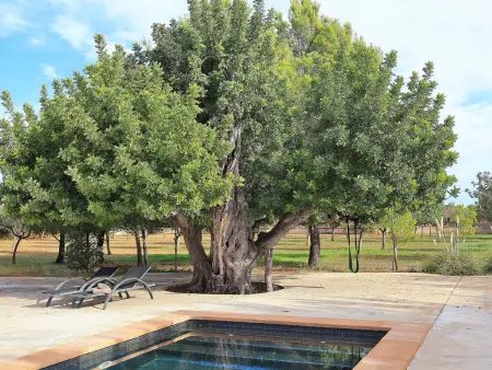 Luxueuse villa majorquine de 450m² à Binissalem - Photo 8