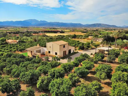 Charmante maison rustique avec piscine privée à Muro - Photo 22