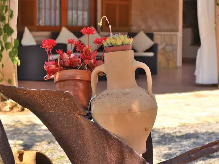 Finca rustique à Santa Margalida avec piscine privée - Photo 23