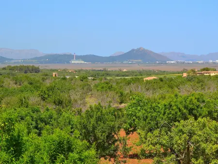 Finca rustique à Santa Margalida avec piscine privée - Photo 25