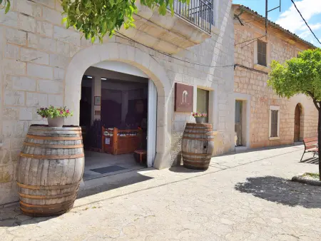 Maison de Charme à Binissalem avec Piscine Privée et Wifi - Photo 23