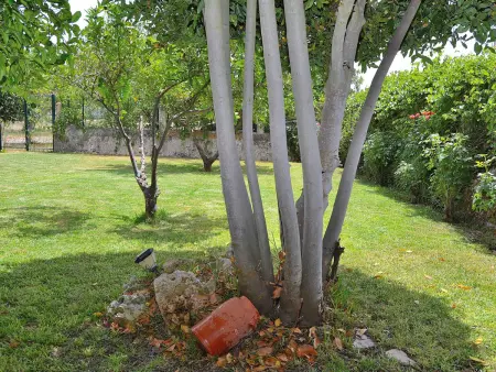 Finca rurale avec piscine et cheminée à Lloret de Vistalegre - Photo 19