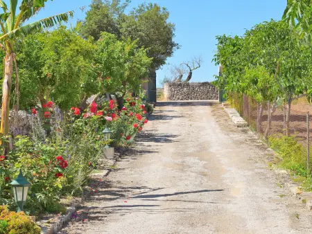 Charmante finca à Santa Margalida avec piscine privée - Photo 10