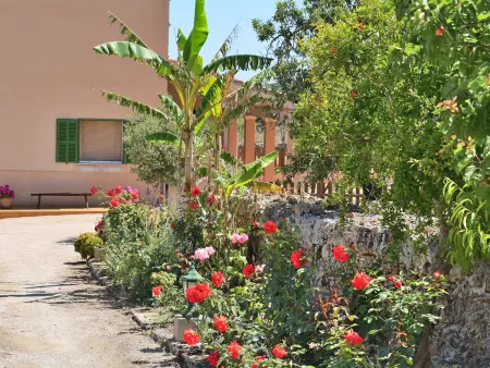 Charmante finca à Santa Margalida avec piscine privée - Photo 22