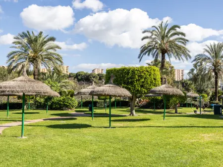 Studio lumineux face à la plage avec piscine à Benalmádena - Photo 2