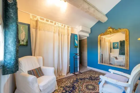 Grand Mas climatisé Arles, Grande villa familiale à Arles avec piscine - Photo 10