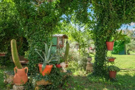 Grand Mas climatisé Arles, Grande villa familiale à Arles avec piscine - Photo 34