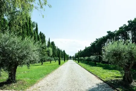 Charmant Mas Provençal avec piscine et jacuzzis, Charmante Villa Provençale à Noves - Photo 4