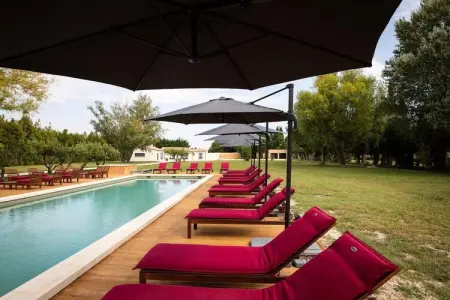 Charmant Mas Provençal avec piscine et jacuzzis, Charmante Villa Provençale à Noves - Photo 31