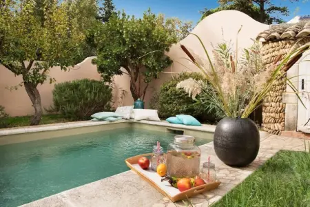 Charmant Mas Provençal avec piscine et jacuzzis, Charmante Villa Provençale à Noves - Photo 38