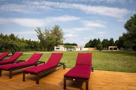 Charmant Mas Provençal avec piscine et jacuzzis, Charmante Villa Provençale à Noves - Photo 109