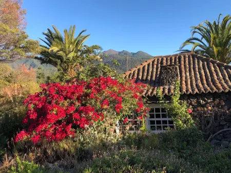 Las Tortugas, Maison 4 personnes à El Paso - Photo 4