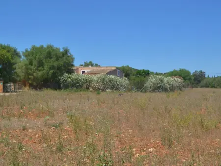 Xim vell, Maison 8 personnes à Felanitx - Photo 5