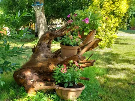 Podere Vallino, Maison 6 personnes à Castelfiorentino - Photo 40