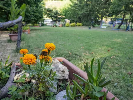 Podere Vallino, Maison 6 personnes à Castelfiorentino - Photo 41