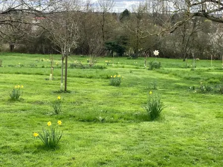 Gîte au calme avec jardin et wifi à Saint-Doulchard - Photo 13