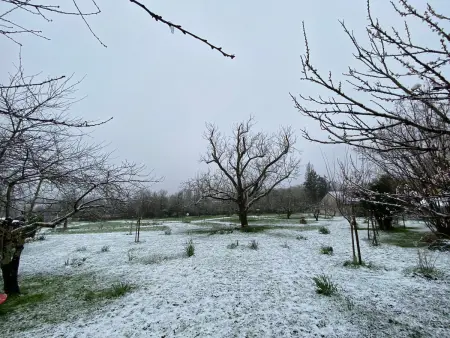 Gîte au calme avec jardin et wifi à Saint-Doulchard - Photo 16