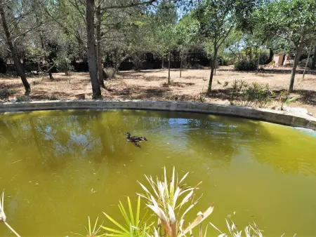 Villa con piscina y pista de tenis privada ideal para familias.  - WiFi Gratis - Photo 10
