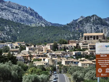 Villa SON RUBI en Selva (Serra de Tramuntana) con barbacoa y piscina privada- V - Photo 32